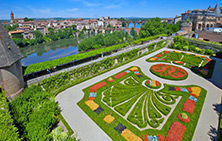 Gardens in a courtyard