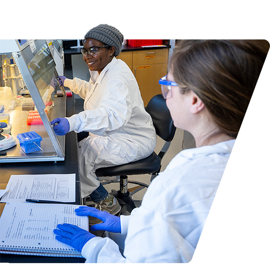 researchers working in a lab